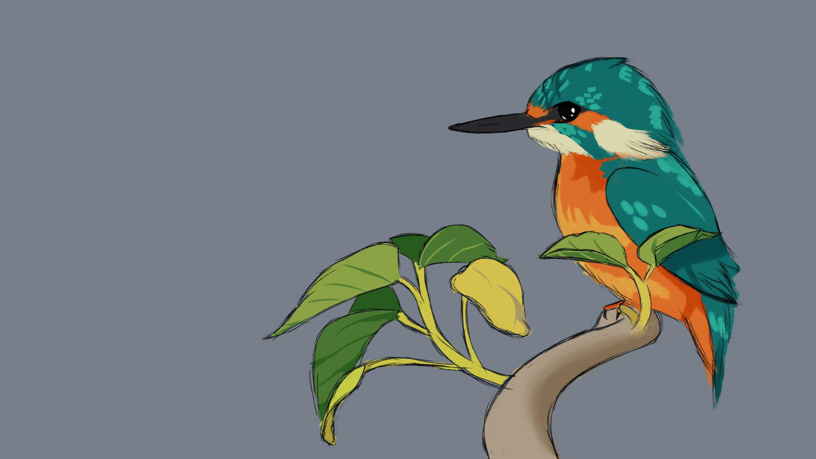 Study of a bird